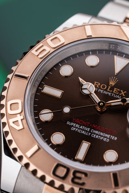 Rolex Yachtmaster 40mm Chocolate Dial - Ref. 126621