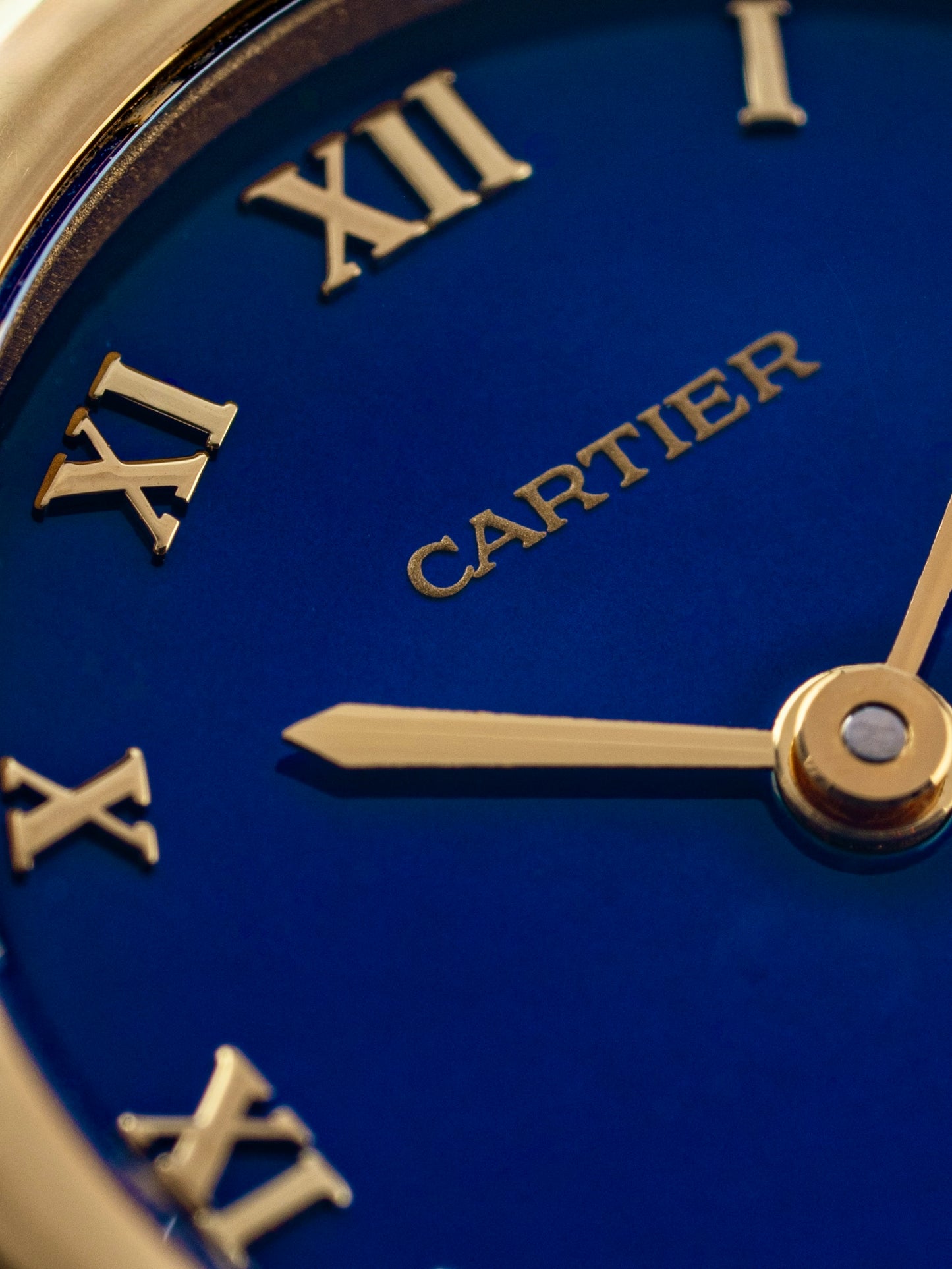 Cartier Panthere Cougar 26mm - Ref. 11701